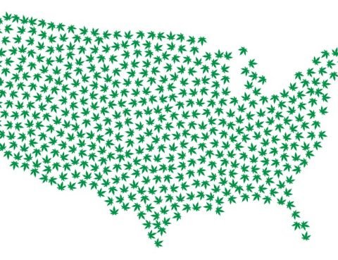 United State Marijuana Legalization Map