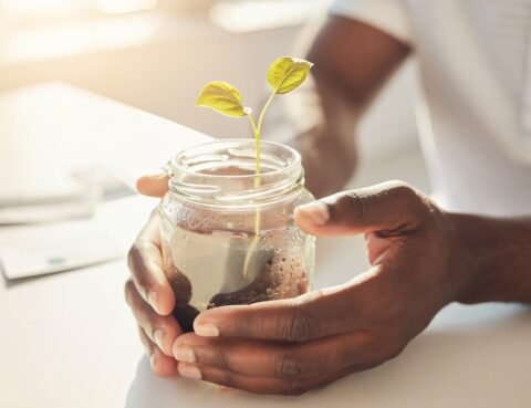 Hands nurturing a small growing plant representing a new Florida business being built on a solid legal foundation